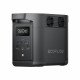 Зарядна станція EcoFlow DELTA 2 Black (E980) International version (EFE980-IN)